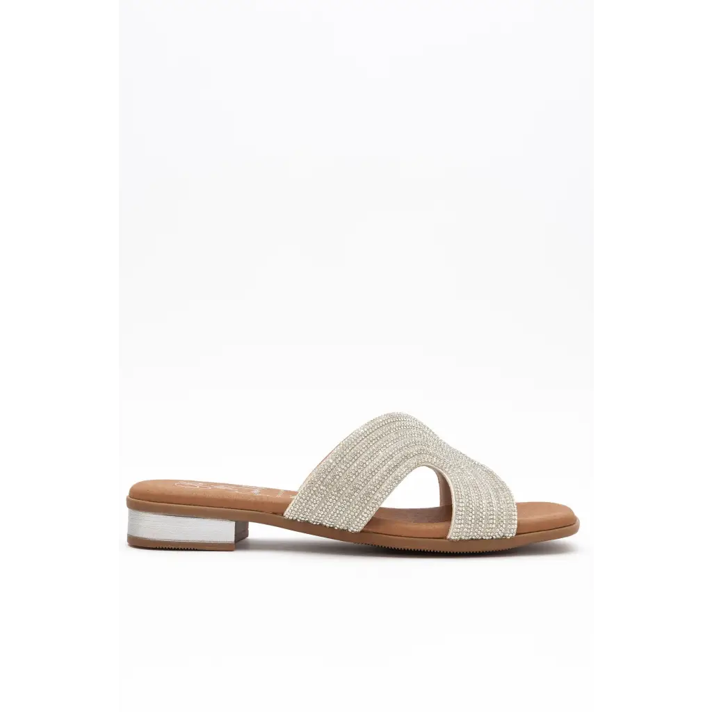 5341 Silver - SLIDES SS24 • WOMEN SHOES