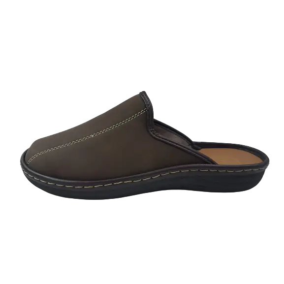 687 Brown-ARIZONA-Βenissimo
