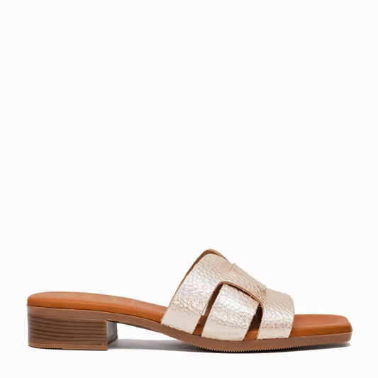 5600 Champaing - SLIDES - ss25 • WOMEN SHOES