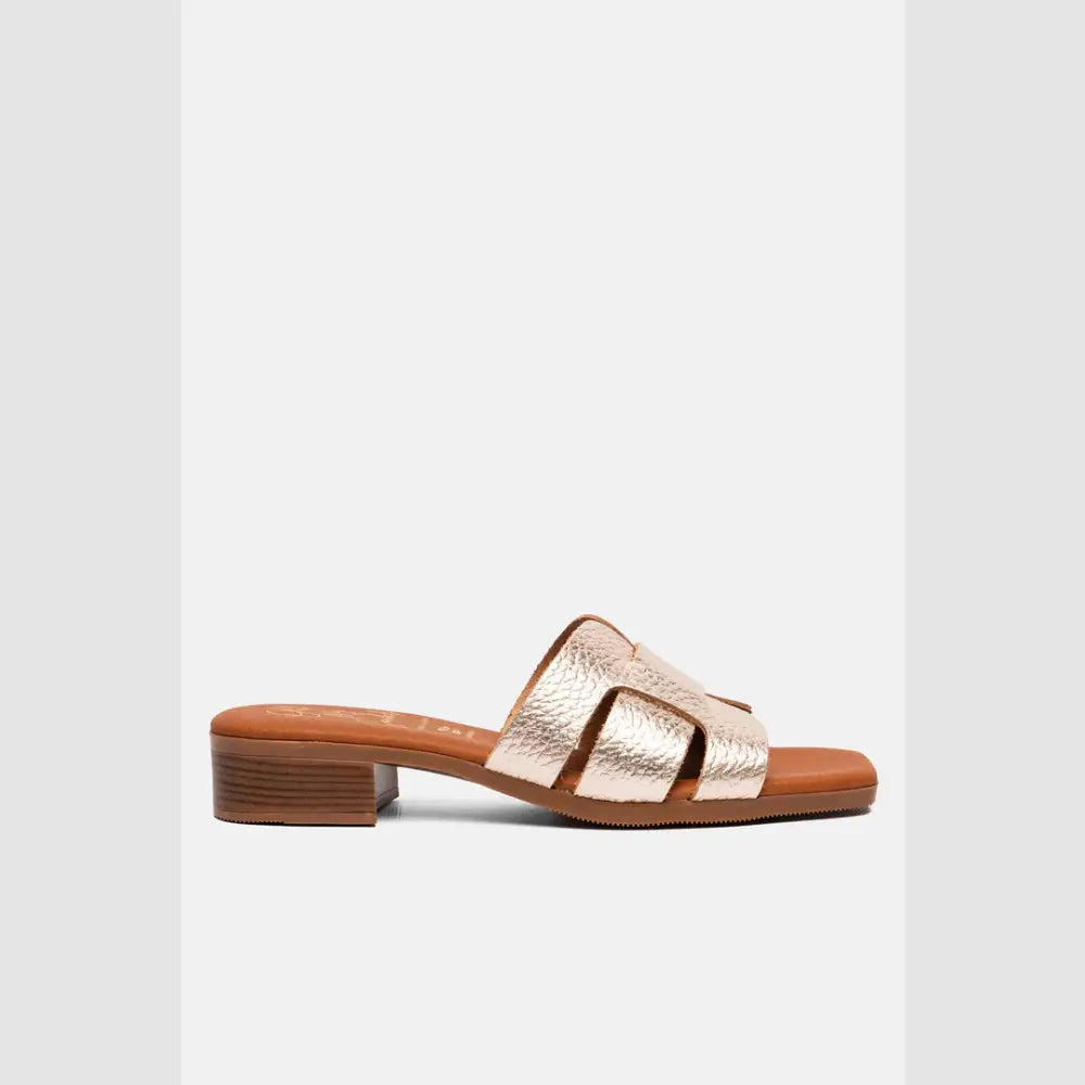 5880 Champan - SANDALS - SS26 • WOMEN SHOES
